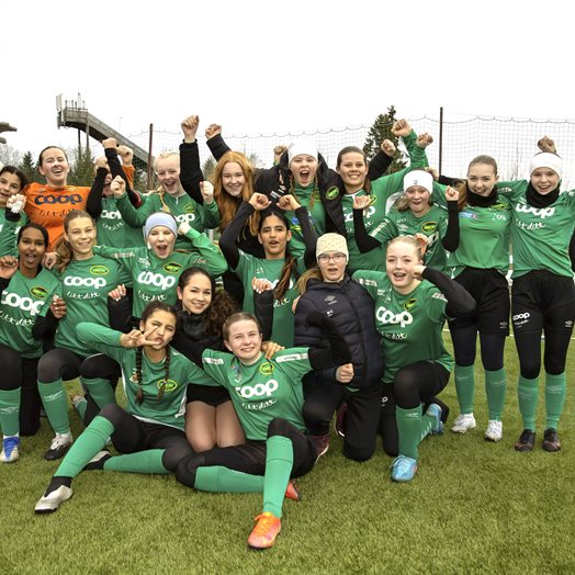 Dal-jentene i vinden