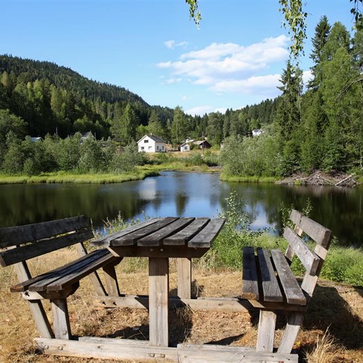 Invitert: - Her i bygda bor vi folk overalt