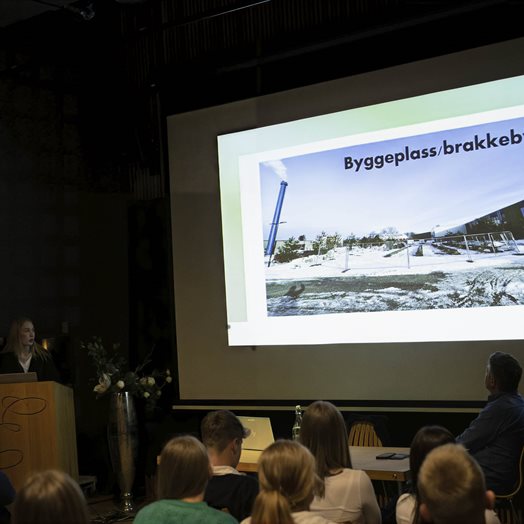 Kollektivtilbud, skoleskyss og ballbinge: Ungdommens kommunestyre er på saken!