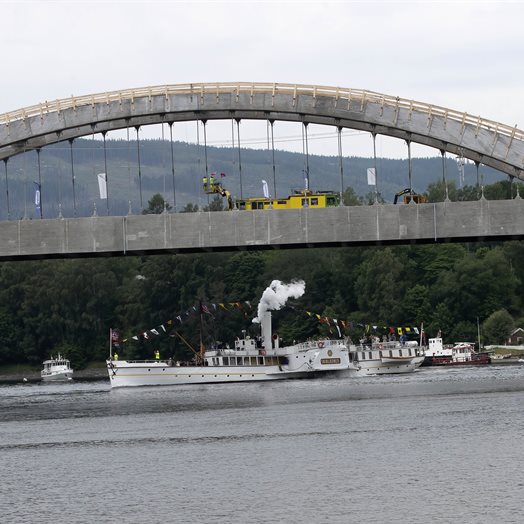 Svanen endelig tilbake