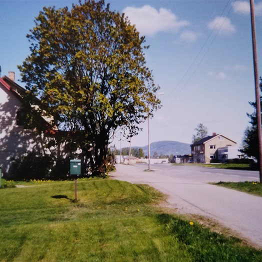 Invitert: - Vi folk er ikke lenger bare "nordmenn"
