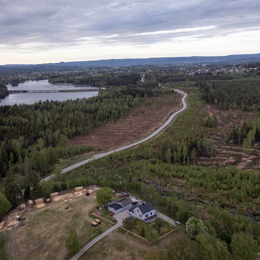 Hva skjer’a? Skauen er jo borte!