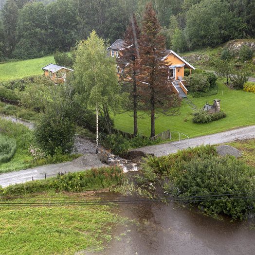 Invitert: - Om Hans, navler, provokasjoner og litt til