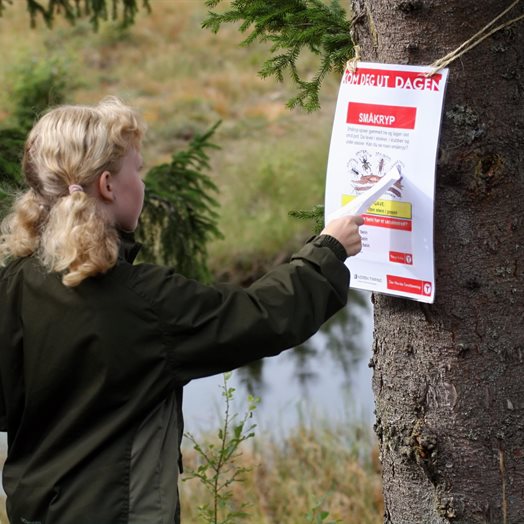 Besøk en kjendis i Gullverket