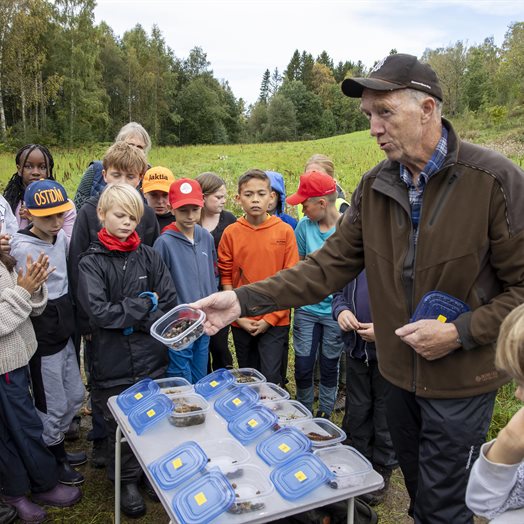 Skogskoledag på Bygdetunet: - Lukt på denna!
