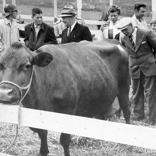 Gamle glimt: Et eventyrbilde i miniatyr av Eidsvoll bygd!