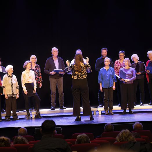 Godt besøkt korfest i Panorama