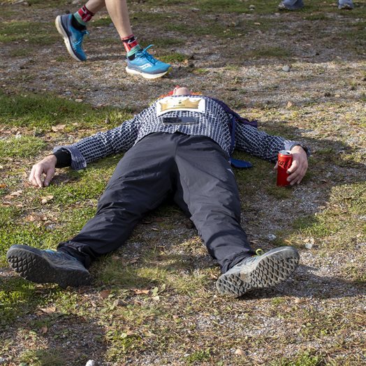 En hertug sleit i skogen på Sessvoll