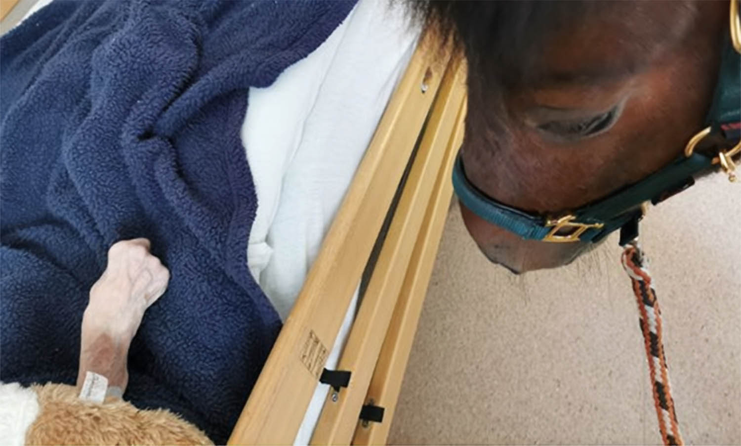 Denne ponnien var på besøk på Vilberg