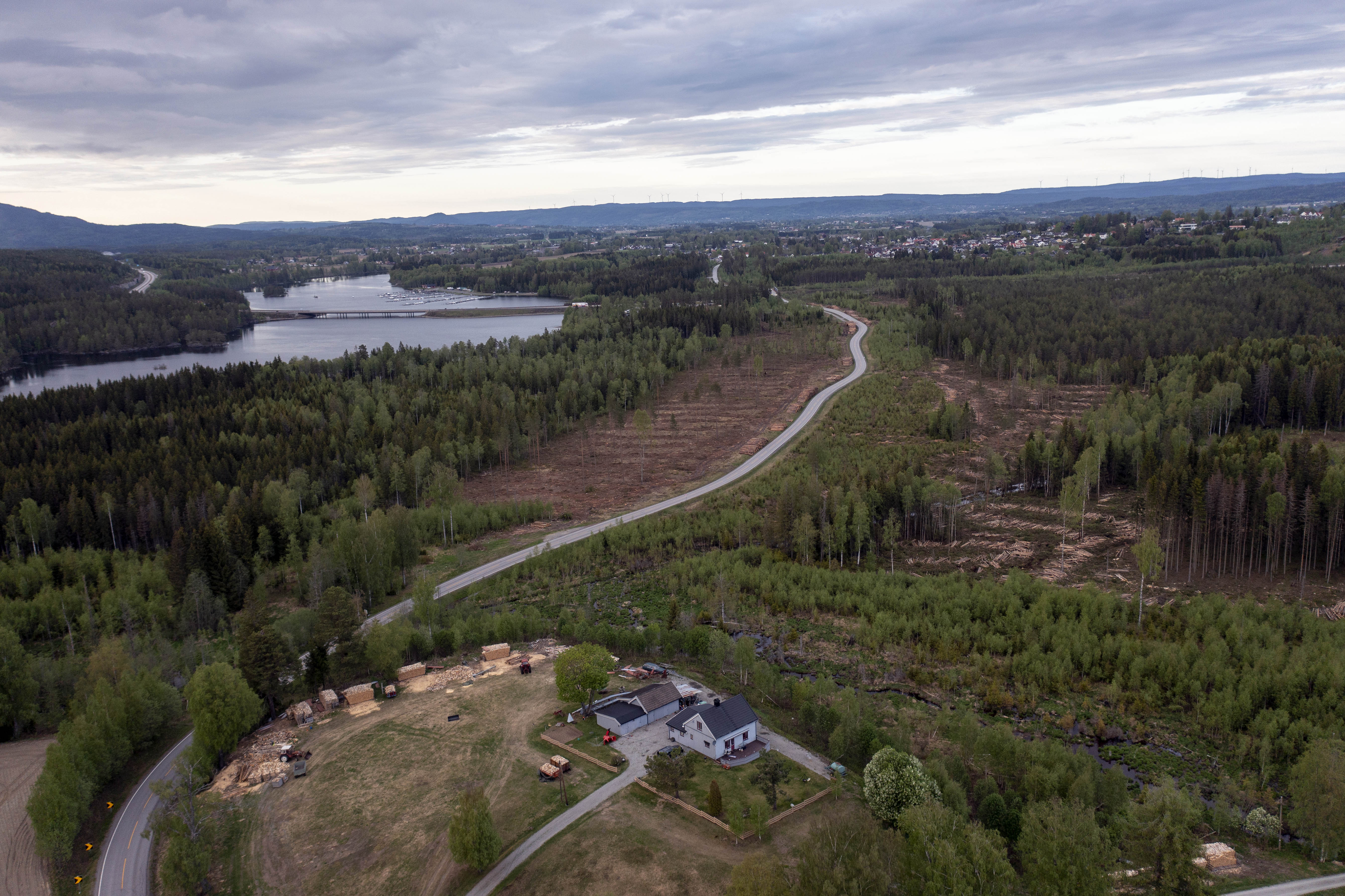 Hogstsområdet sett fra Bergermoen og nordover Hogstsområdet sett fra Bergermoen og nordover