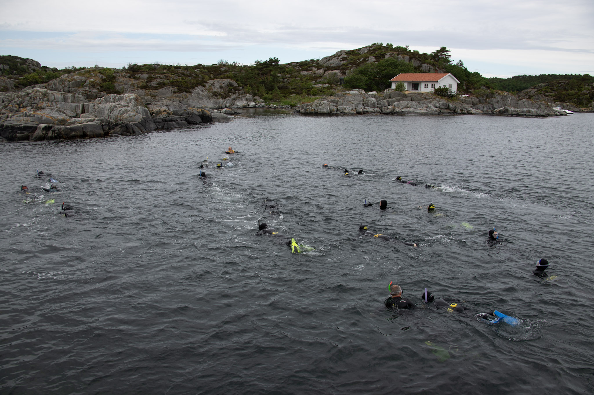 Fridykkerne koste seg i skjærgården ved Skottevik Feriesenter Fridykkerne koste seg i skjærgården ved Skottevik Feriesenter