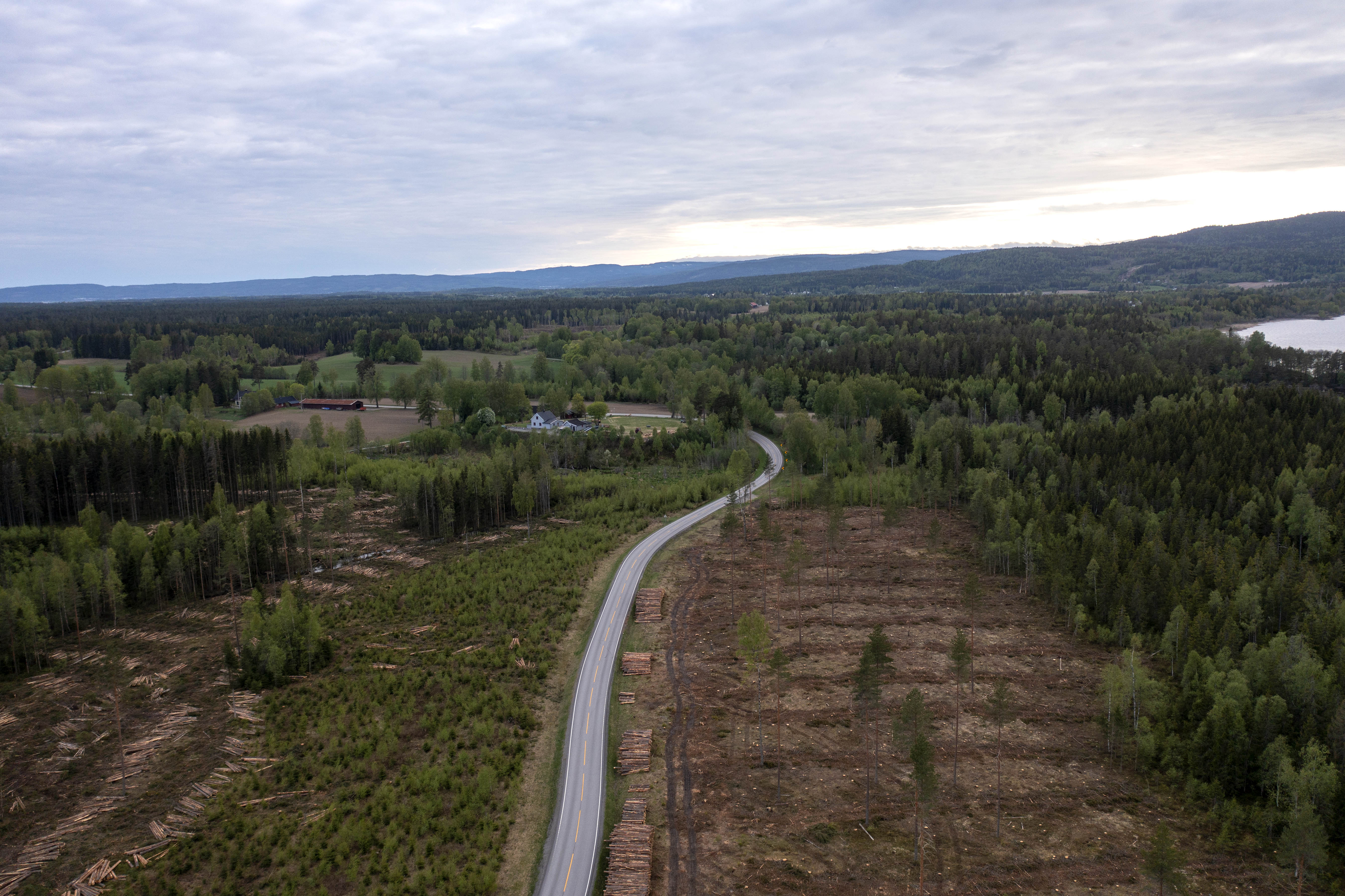 Hogstsområdet sett fra Andelva og sørover Hogstsområdet sett fra Andelva og sørover
