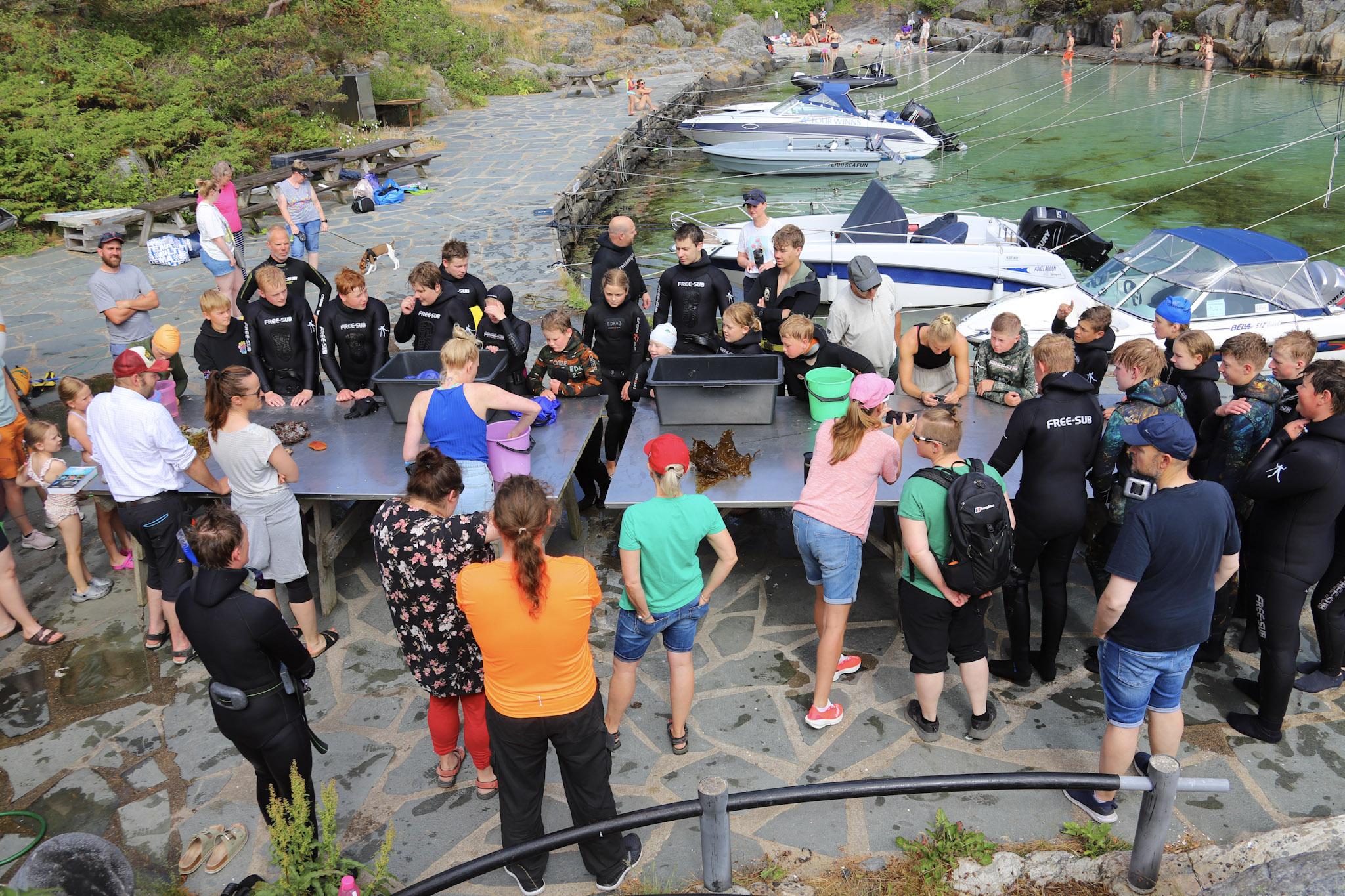 Fridykkerne fant mye spennende i vannet som marinbiologene kunne fortelle om Fridykkerne fant mye spennende i vannet som marinbiologene kunne fortelle om