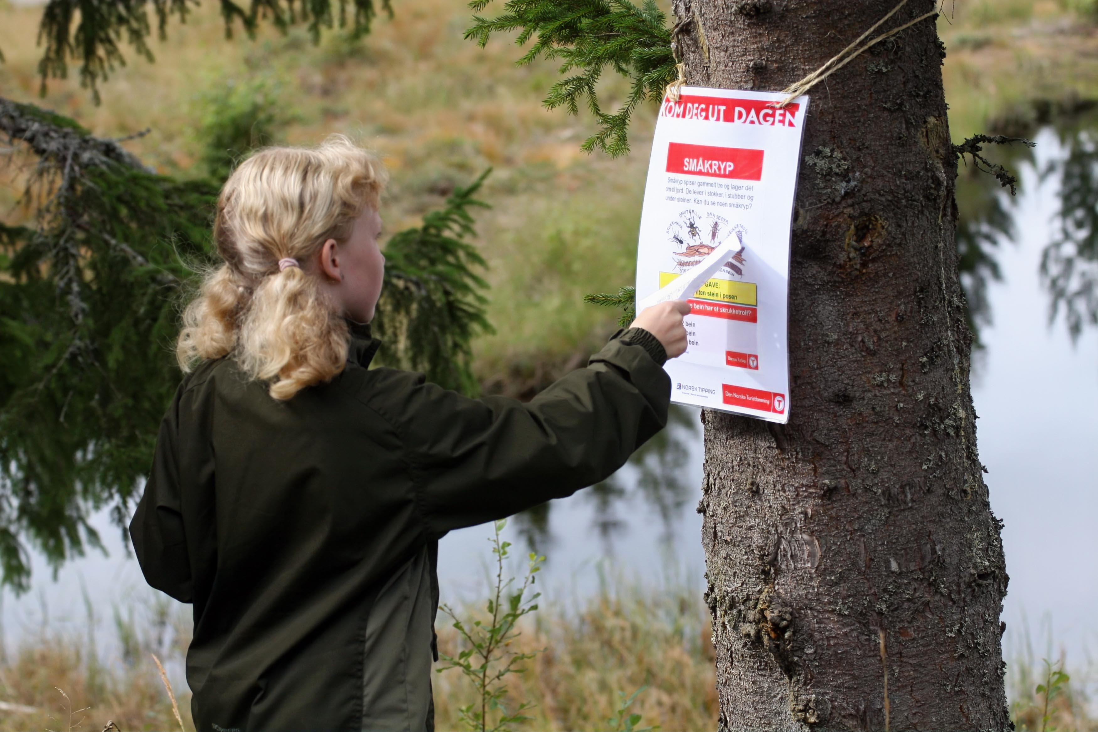 Eidsvoll Turlag bidrar blant annet med natursti
