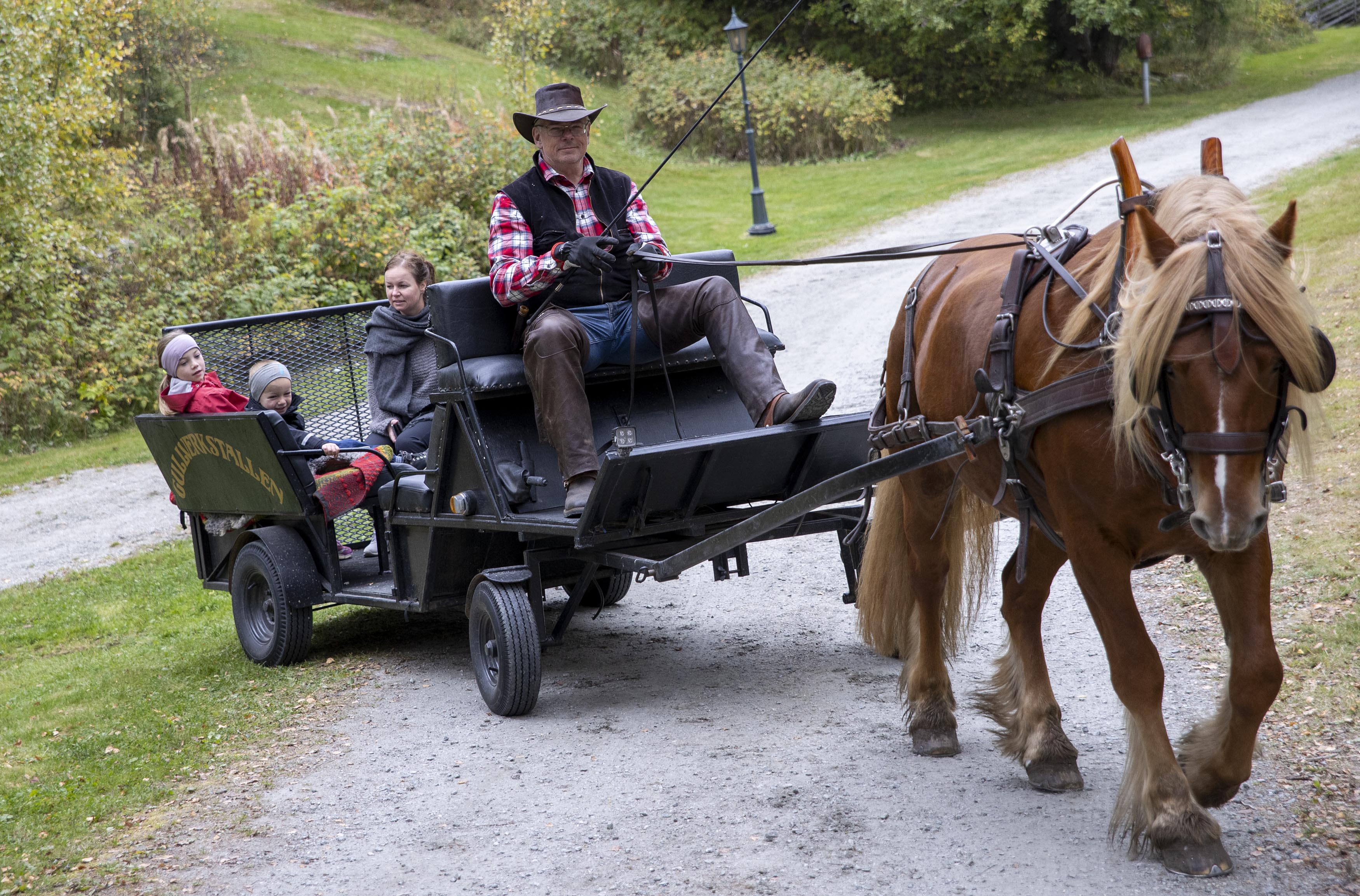Gunnar Fodstad fra Gullverkstallen kommer med hele fire dølahester