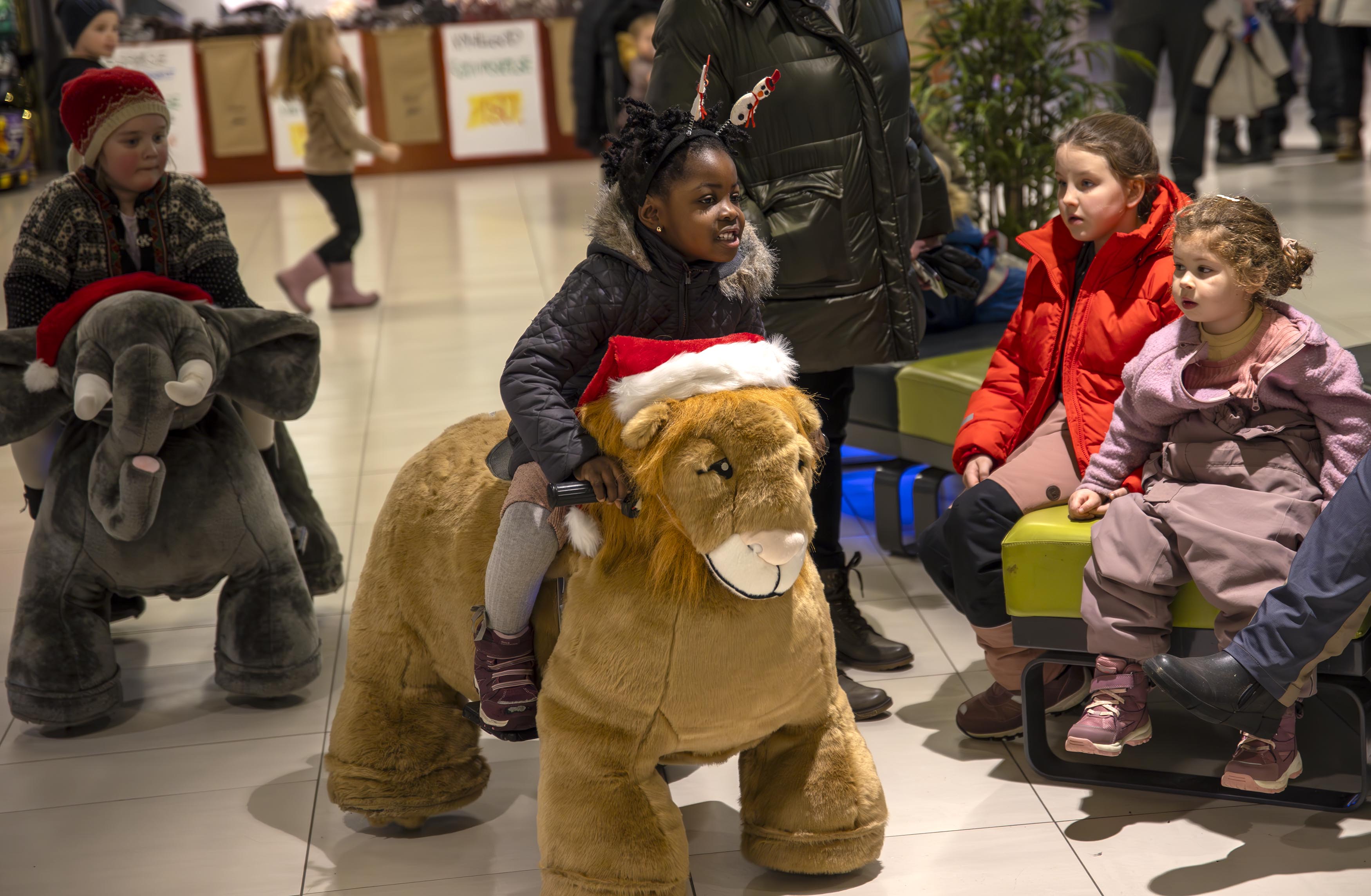 Moro på Amfi med jungeldyrene Moro på Amfi med jungeldyrene
