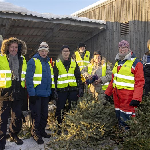 Juletreinnsamling: - Det er et Kinderegg for oss