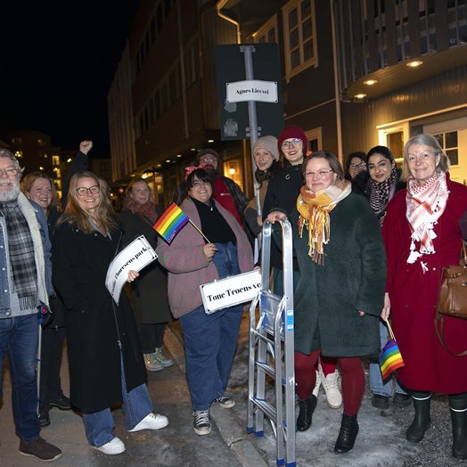 Sundgata ble Agnes Lies vei