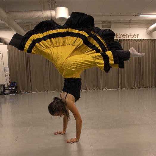 EBAS klare for 34: - 1 time og 40 minutters fargesprakende show!