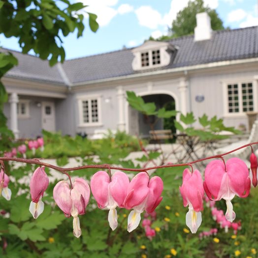 Wergelandshaugen fikk høythengende hagepris. Wergeland, bier og blomster i skjønn forening danner grunnlaget