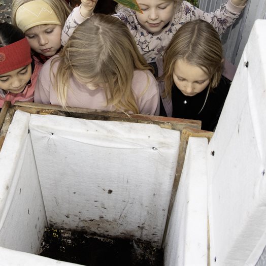 - Det har kommet mark i bingen vår!