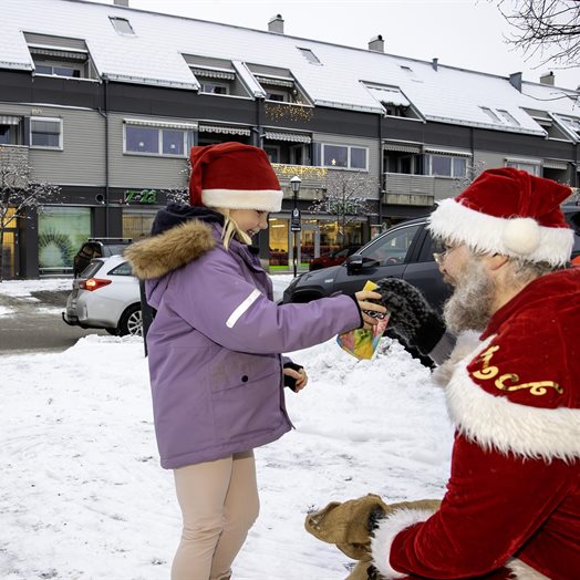 Smått og stort fra Grunnlovsbygda i desember