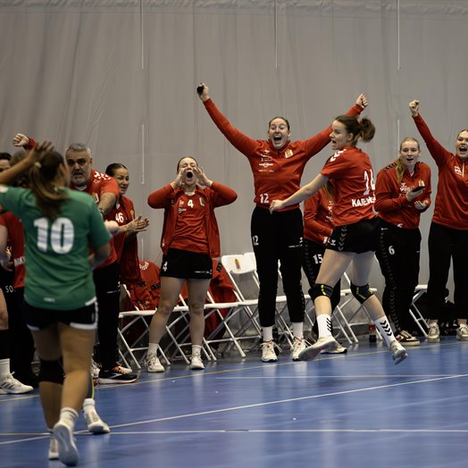 60 minutters berg-og-dal-bane