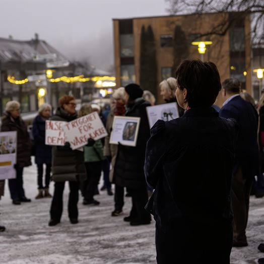 Aldri et budsjett uten protester