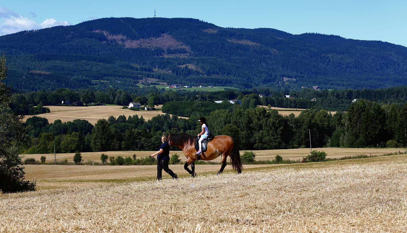 Fra Åpen Gård på Sandholt søndag 14. august 2016