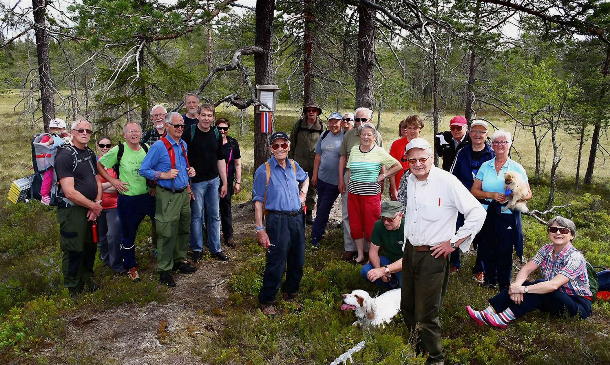 Vidar Engen var guide til Ristjønnshøgda i Gullverket i 2015 Vidar Engen var guide til Ristjønnshøgda i Gullverket i 2015