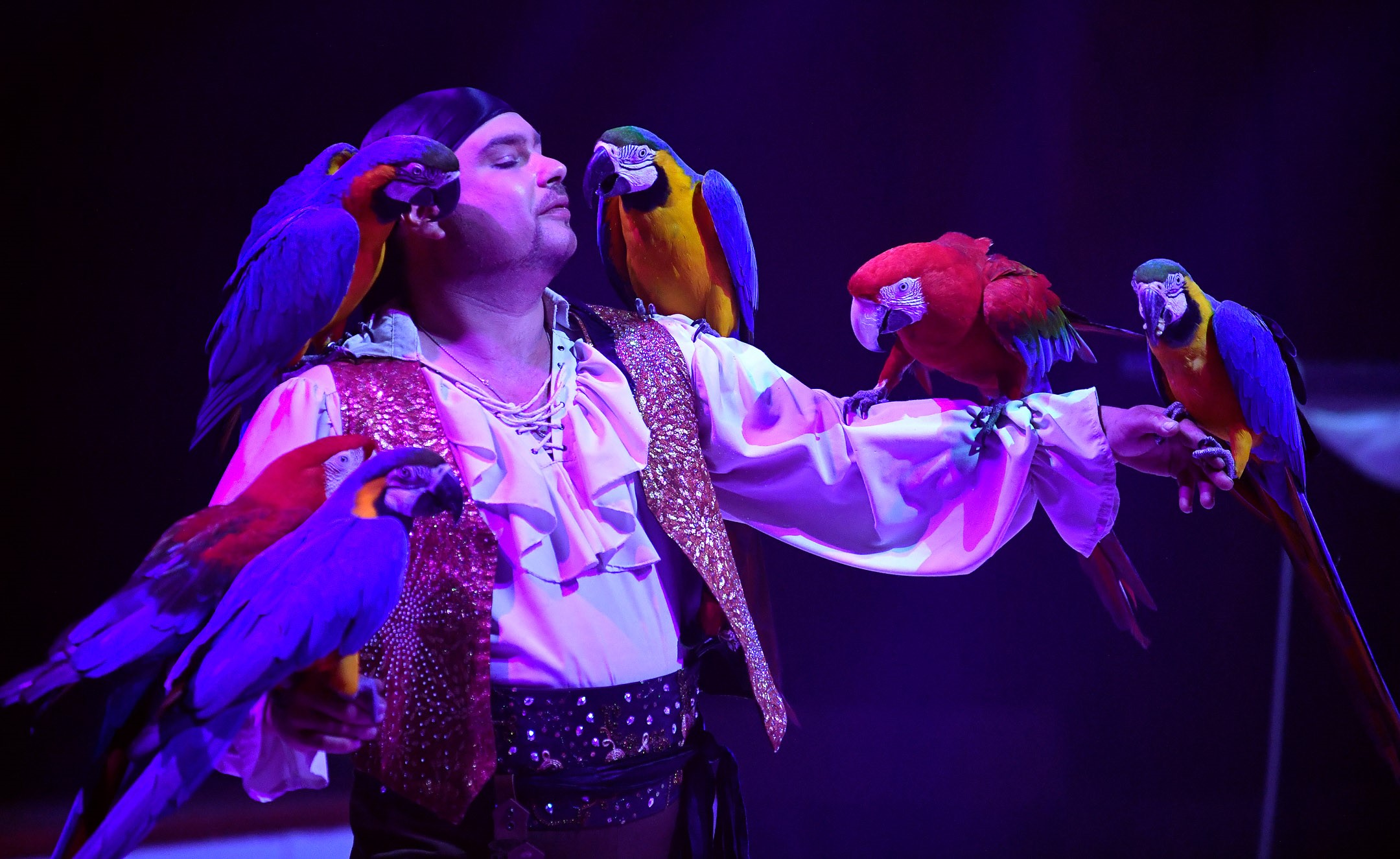 Kevin Probst med sine papegøyer