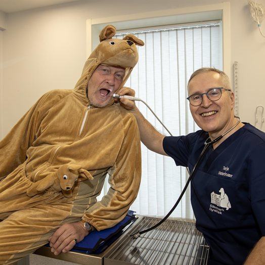 Nyåpnet dyreklinikk på Verket: - Vi behandler også kenguruer!