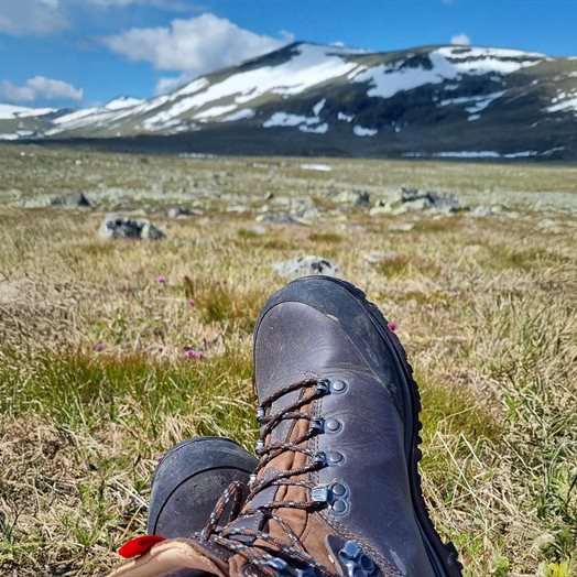 Leserinnlegg: Ferie – fordi vi ikke er roboter (enda)