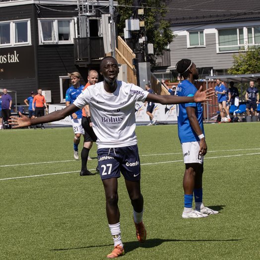 Ellevilt i hovedstaden