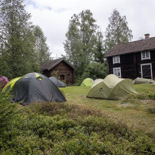 Natur og Ungdom inntok Bygdetunet: - Er folk klar over at det står over 200.000 tomme hus i Norge?