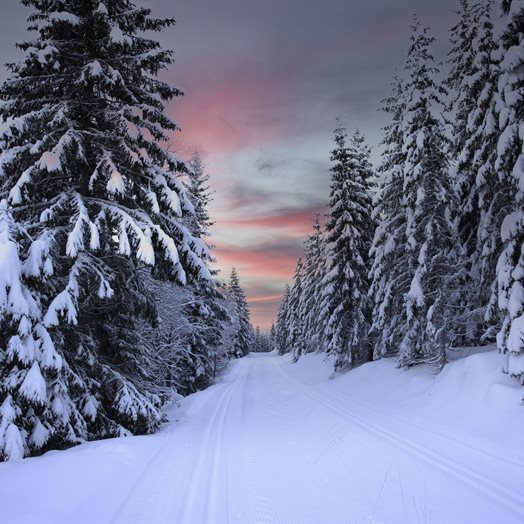 Leserinnlegg: - Dugnaden – limet i lokalsamfunnet (og årsaken til at vi alle eier én litt for utslitt refleksvest)