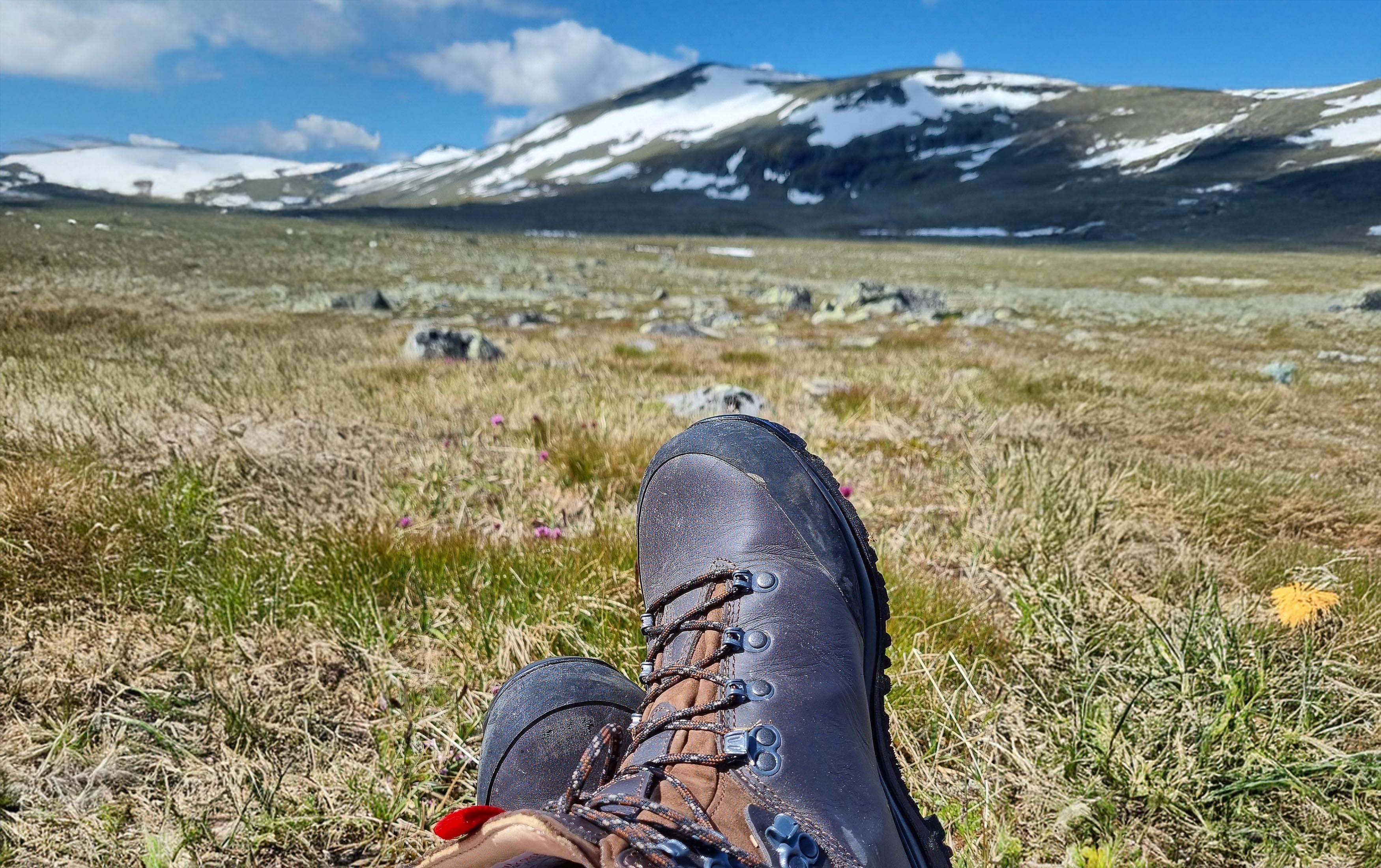 - Hjernen trenger ferie - og kroppen - og sjela, skriver Hege Granberg - Hjernen trenger ferie - og kroppen - og sjela, skriver Hege Granberg
