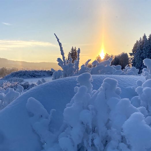 La Vassarven jage vekk frosten i deg