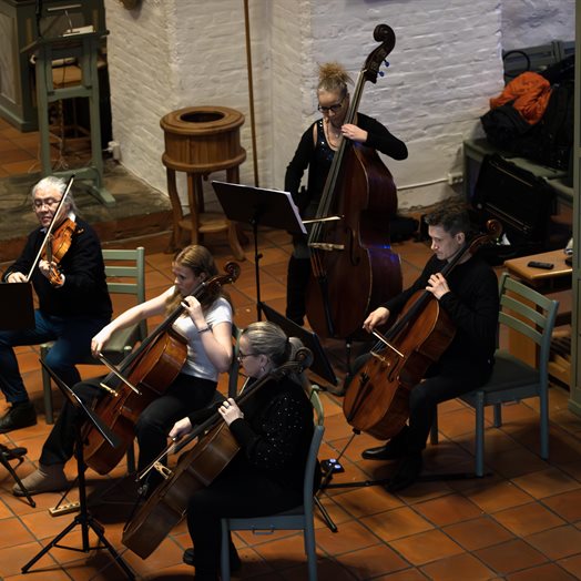 Nystartet kammerorkester imponerte