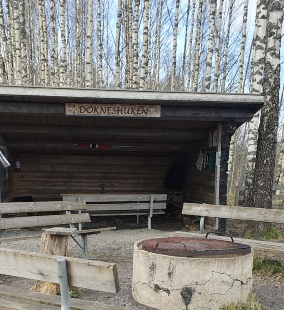 Fottur på Dokkenmoen