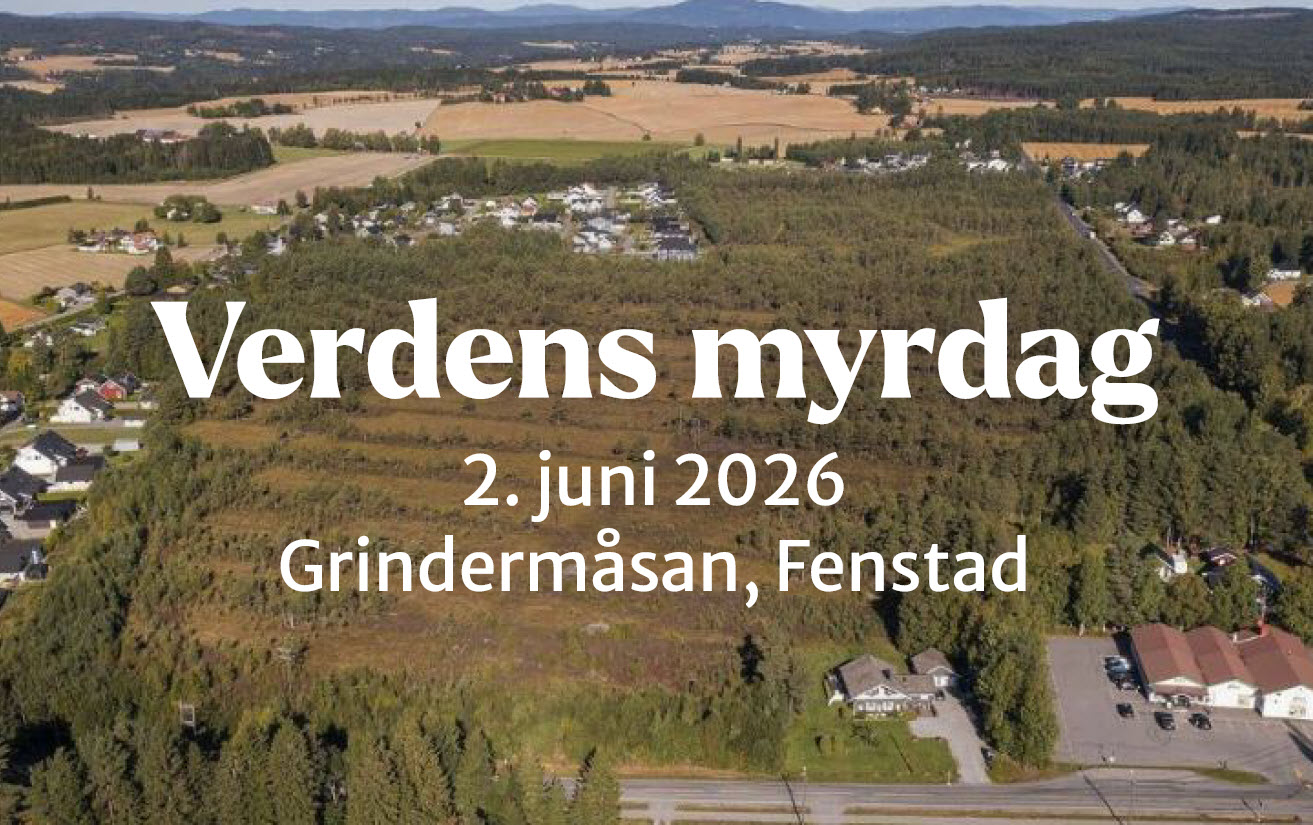 Verdens myrdag